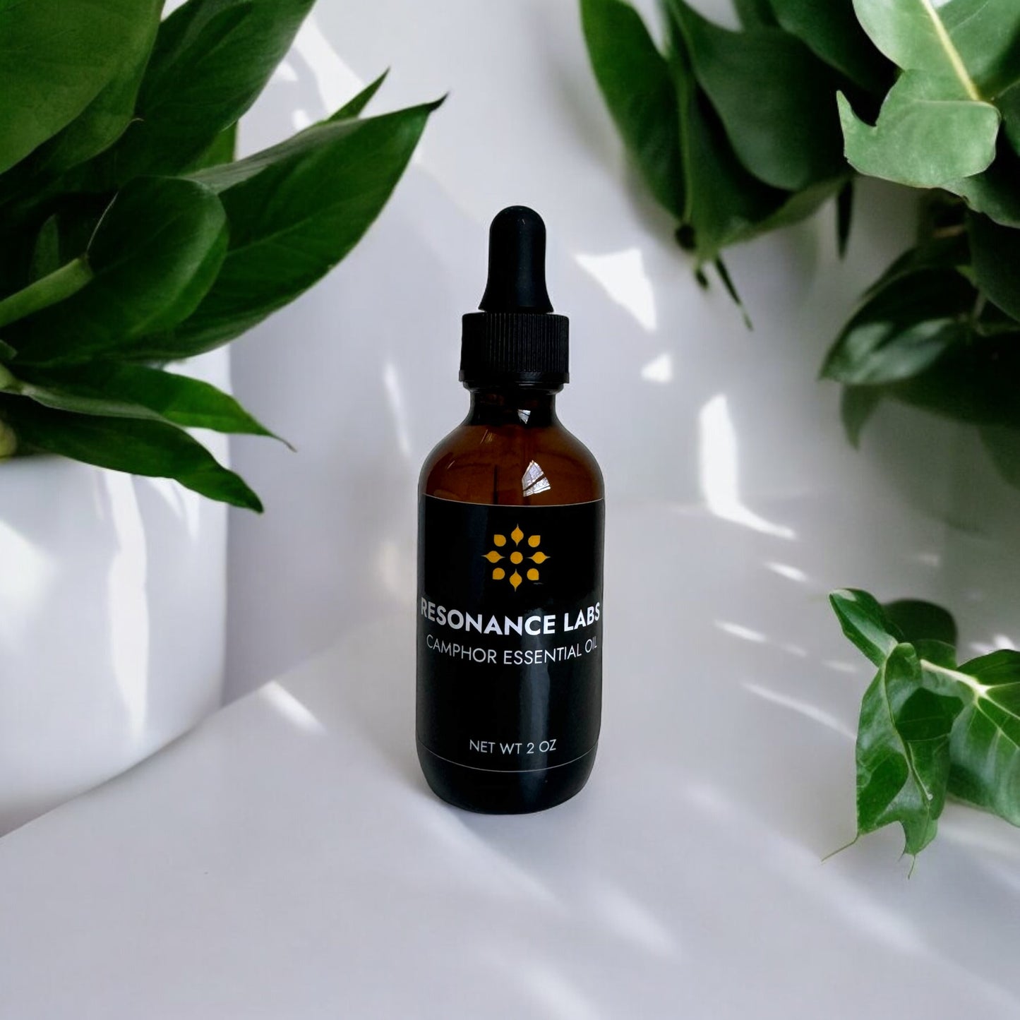 YB1 Balm + Essential Oils Set